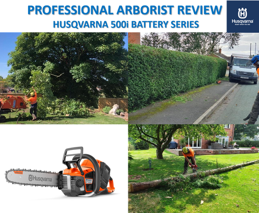Professional Arborist Review