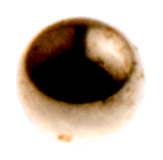 Husqvarna Genuine Part - BALL (P/N: 501468501)