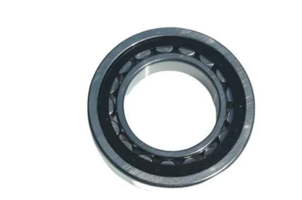 BEARING CYLINDER - 820000052