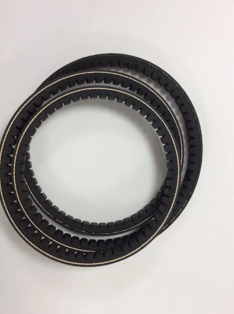 BELT - P3010020