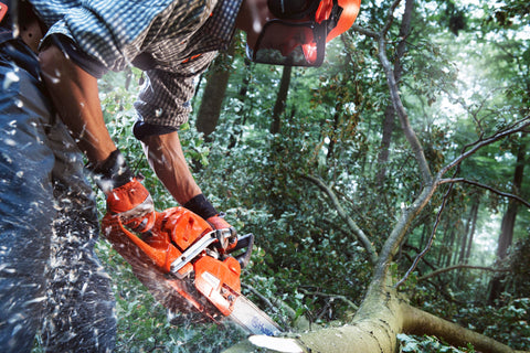 Husqvarna 555 Chainsaw with 18" Bar and Chain