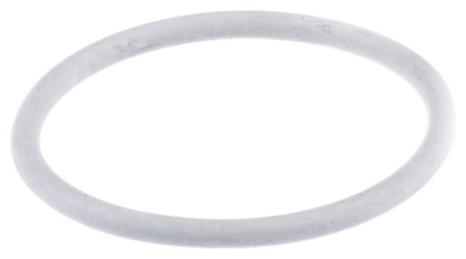 O-Ring Light Gret P/N: 580443902