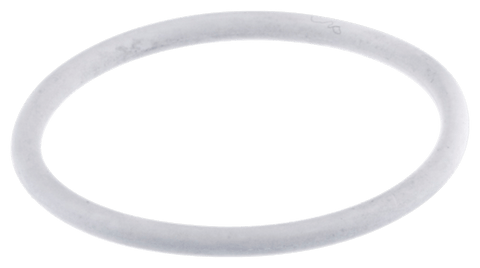 O-Ring Light Gret P/N: 580443902