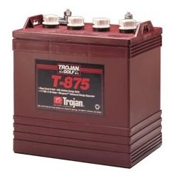 Eazygo Battery Trojan 8V