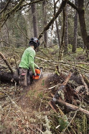 Husqvarna 585 Chainsaw 24" Bar